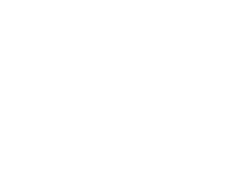 DeepSeek